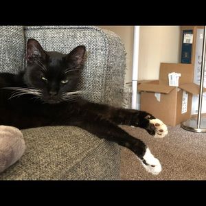 Meet your Posher, Izabela